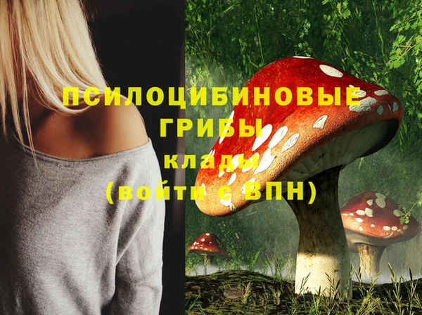 a pvp Алексин