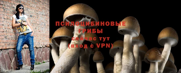 дживик Абинск