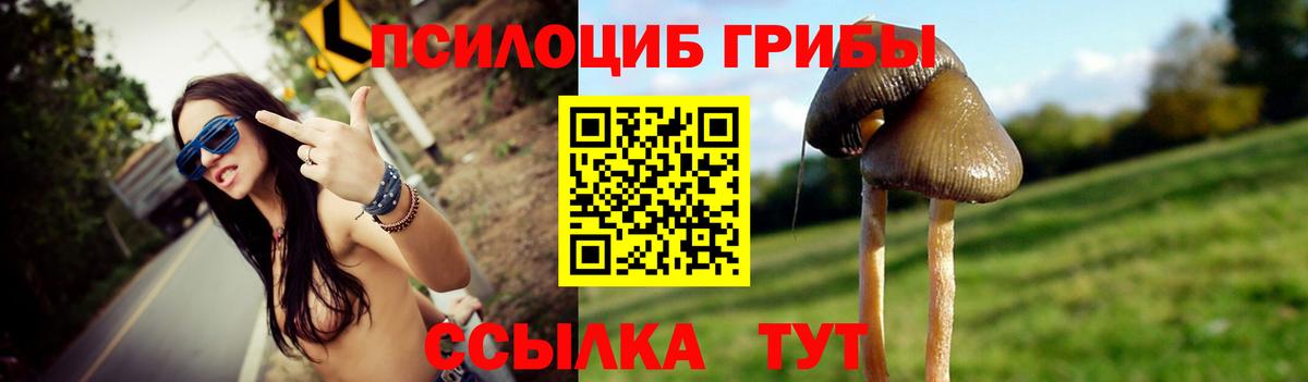 Галлюциногенные грибы Psilocybe  Галлюциногенные грибы Magic Shrooms  Шебекино  купить наркотики цена  Вход с VPN 